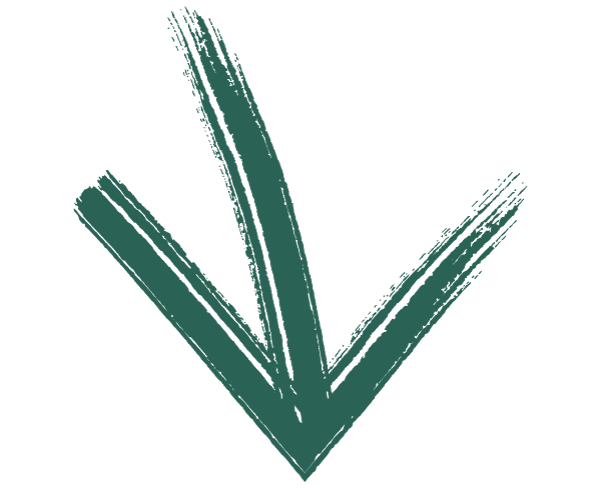 ECO4 Scheme | Get Energy Company Obligation Grant<br />
